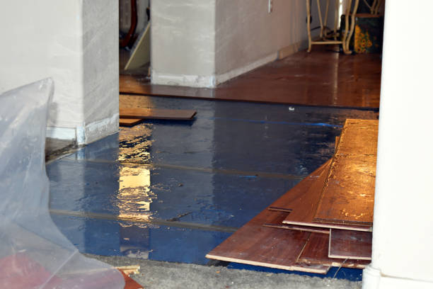 Professional Basement Water Removal technician working in Rex, GA